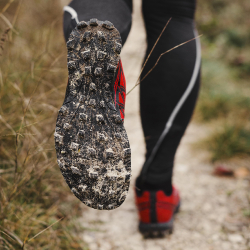 Trail